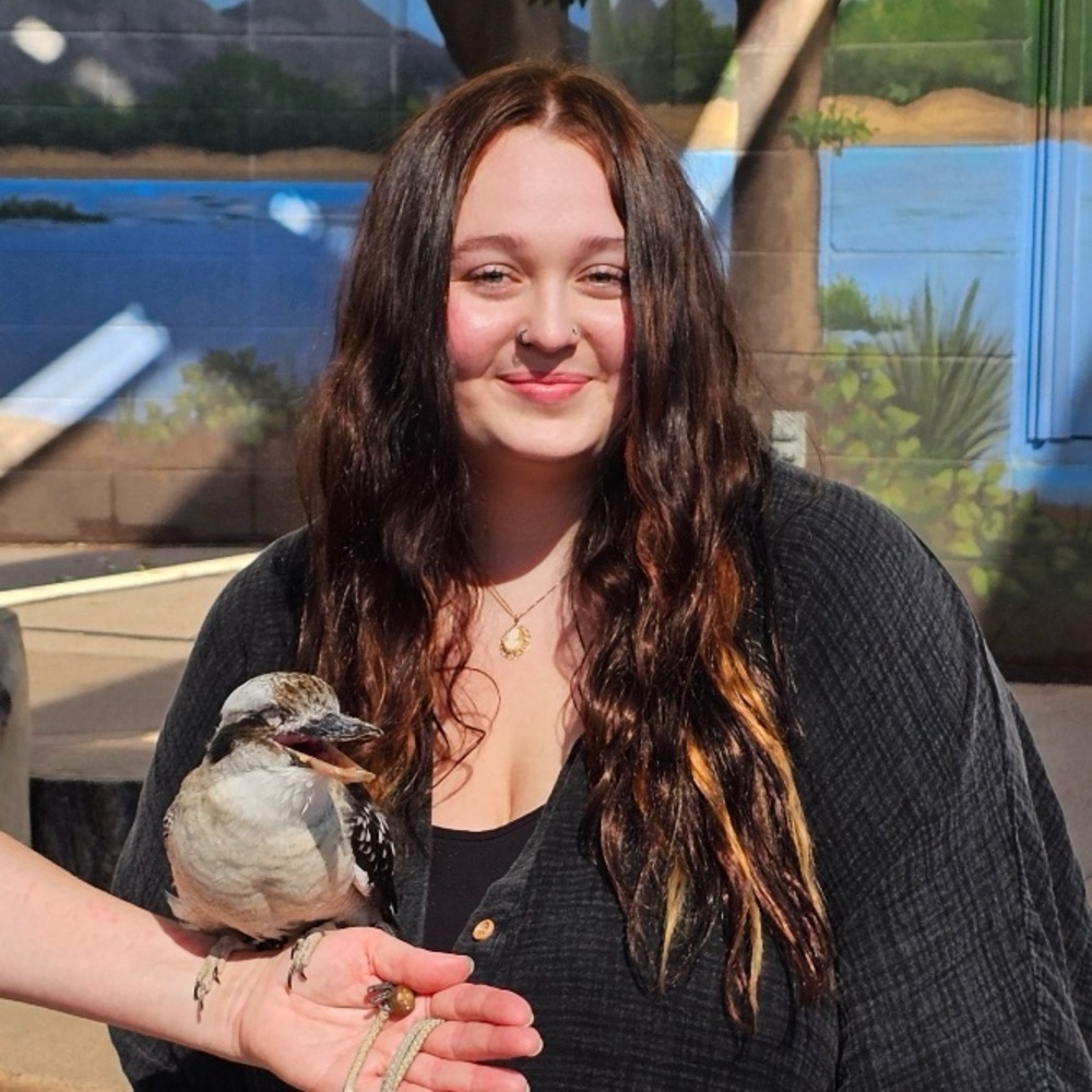 Meet your Posher, Addi